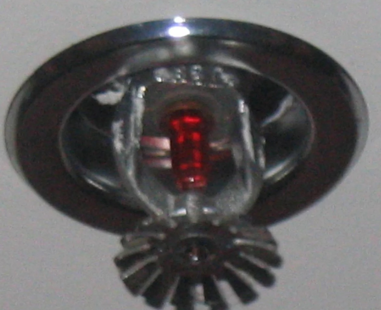 Fire Sprinkler Discharge Water Removal in Menifee, CA
