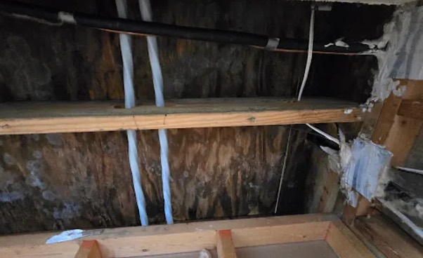 Skylight Leak Water Removal in Temecula, CA