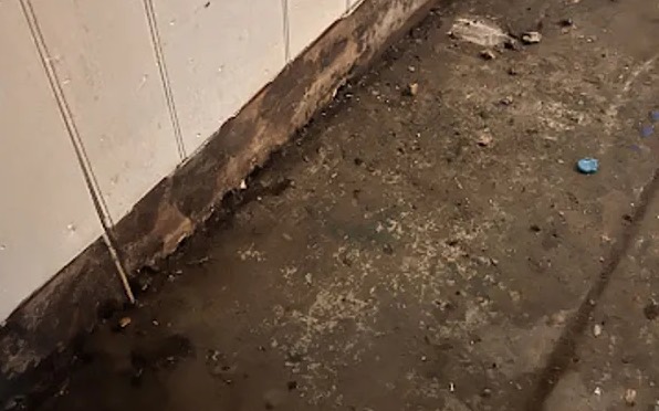 Contaminated Water Removal in Menifee, CA